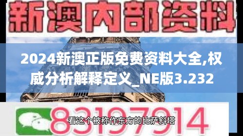 2024新澳正版免費(fèi)資料大全,權(quán)威分析解釋定義_NE版3.232