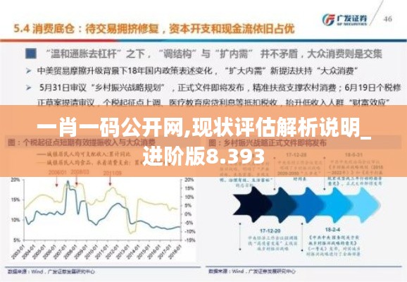一肖一碼公開網(wǎng),現(xiàn)狀評估解析說明_進階版8.393
