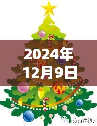 小城溫馨日常，快樂時光之短篇紀實（2024年12月9日）
