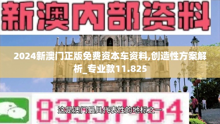 2024新澳門正版免費(fèi)資本車資料,創(chuàng)造性方案解析_專業(yè)款11.825