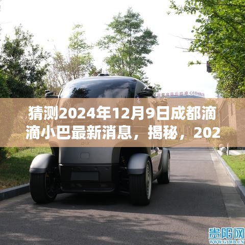 揭秘，2024年12月9日成都滴滴小巴最新動態(tài)與消息速遞