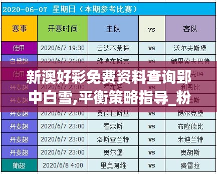 新澳好彩免費(fèi)資料查詢郢中白雪,平衡策略指導(dǎo)_粉絲款4.323