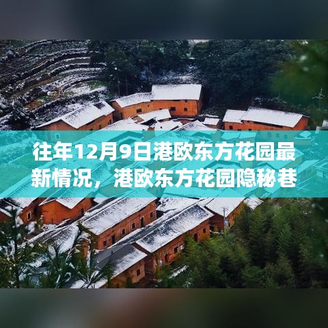 港歐東方花園隱秘美食秘境，最新探秘之旅（12月9日更新）