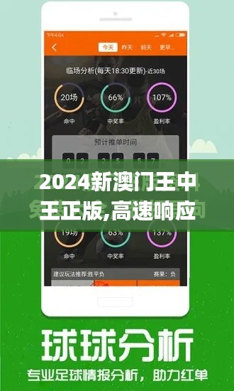 2024新澳門王中王正版,高速響應(yīng)策略_Q9.780