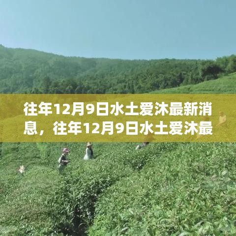 往年12月9日水土愛(ài)沐最新消息，深度解讀與多方觀點(diǎn)碰撞日談