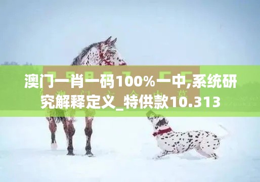 澳門一肖一碼100%一中,系統(tǒng)研究解釋定義_特供款10.313