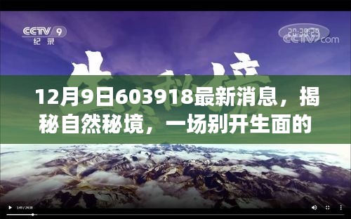 揭秘自然秘境，最新消息帶你探尋心靈深處的寧靜之旅（12月9日更新）