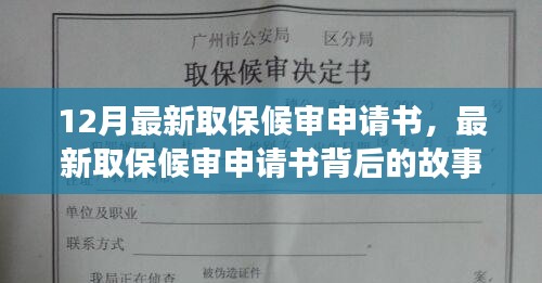 最新取保候?qū)徤暾?qǐng)書背后的故事，背景、進(jìn)展與影響全解析