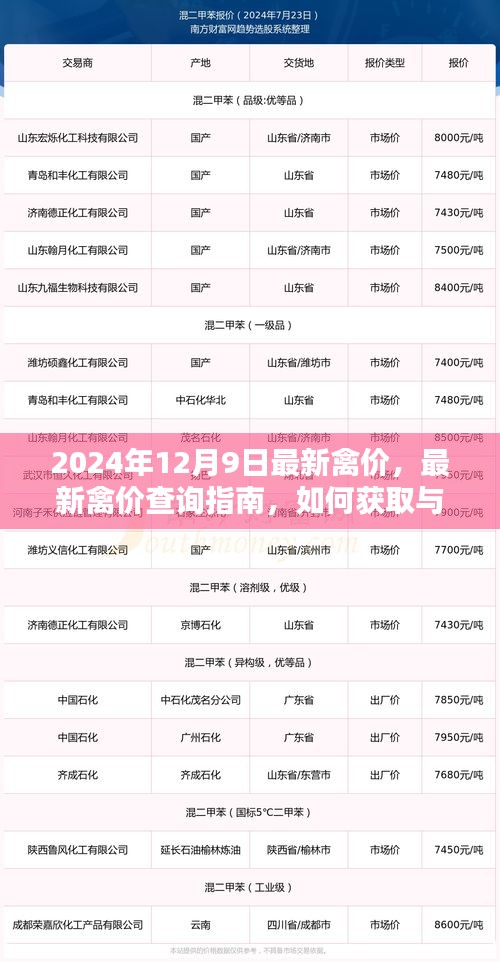 2024年12月9日禽價(jià)信息一覽，查詢指南與深度分析
