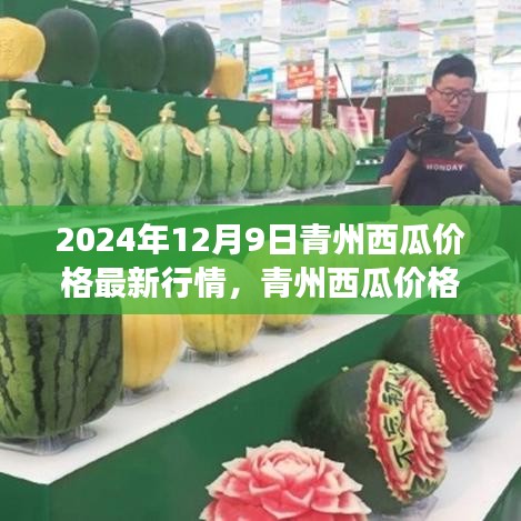 青州西瓜價(jià)格深度解析，甜蜜與價(jià)值時(shí)代變遷的探尋（最新行情）