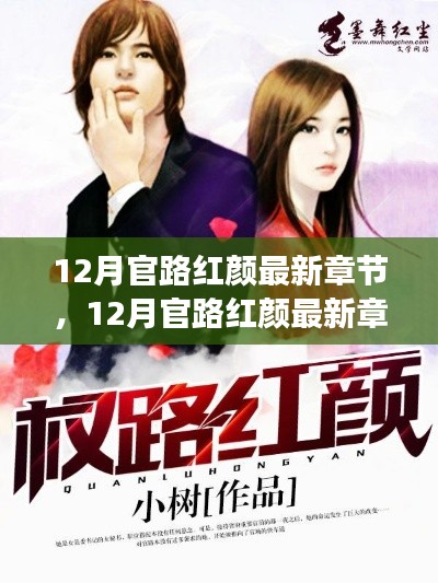 揭秘風云人物命運糾葛，12月官路紅顏最新章節(jié)全解析