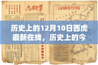 歷史上的今天，揭秘西虎最新在線動(dòng)態(tài)與精彩瞬間回顧——來(lái)自小紅書的分享