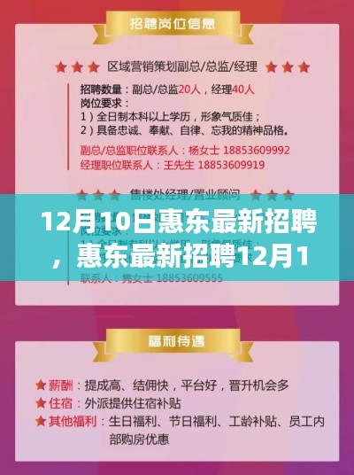 惠東最新招聘求職全攻略，從零起步到成功應(yīng)聘（12月10日）