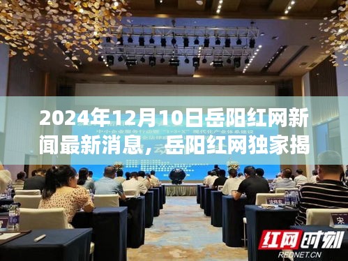 岳陽紅網(wǎng)獨家揭秘，小巷深處的隱藏美食寶藏——最新探訪報道