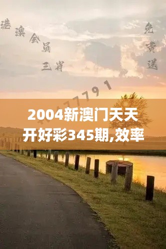 2004新澳門天天開好彩345期,效率解答解釋落實_專業(yè)款13.106