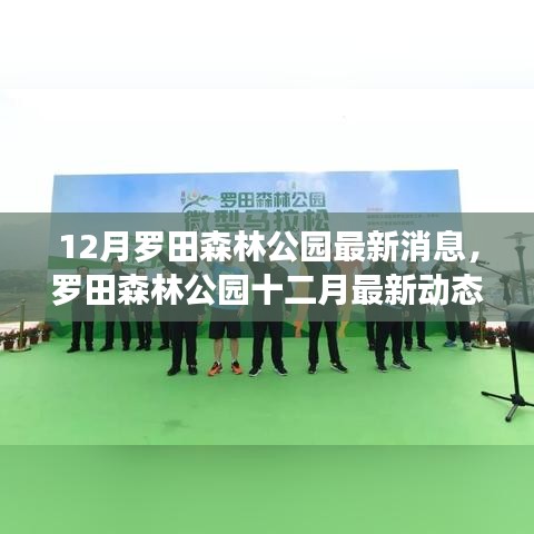 羅田森林公園十二月最新動(dòng)態(tài)，深入剖析與觀點(diǎn)闡述的影響分析