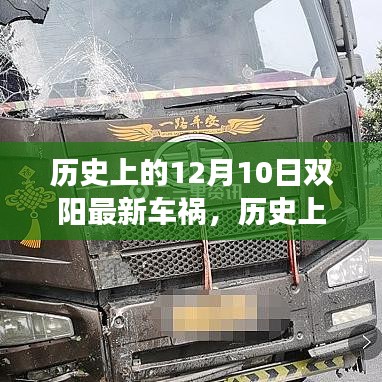歷史上的雙陽車禍真相揭秘，事故應對技能與步驟學習