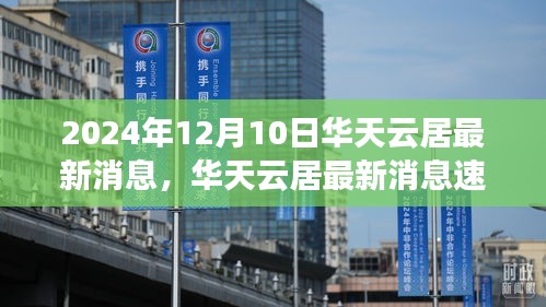 華天云居最新消息速遞，揭秘三大看點，2024年12月10日看點全解析