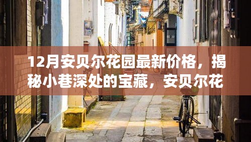 安貝爾花園12月最新價格揭秘，探秘小巷深處的寶藏