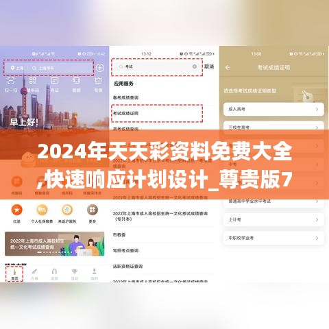 2024年天天彩資料免費(fèi)大全,快速響應(yīng)計(jì)劃設(shè)計(jì)_尊貴版7.510