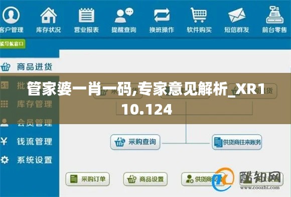 管家婆一肖一碼,專家意見解析_XR110.124