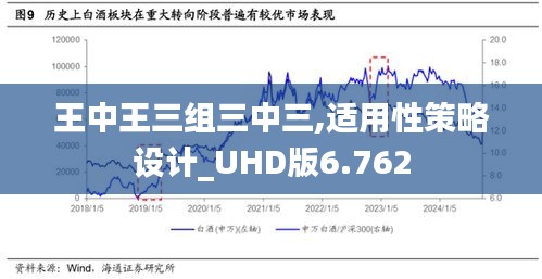 王中王三組三中三,適用性策略設(shè)計_UHD版6.762