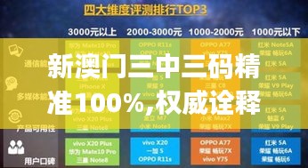 新澳門三中三碼精準(zhǔn)100%,權(quán)威詮釋推進(jìn)方式_VE版8.997