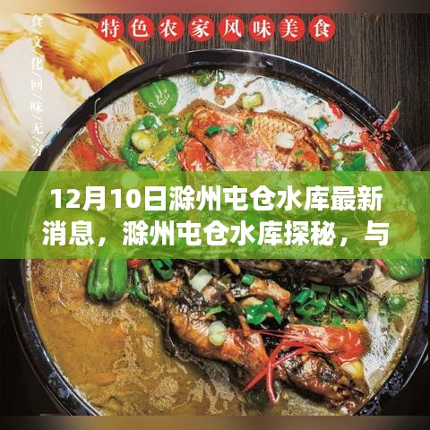 滁州屯倉水庫探秘，自然美景與心靈之旅的最新消息