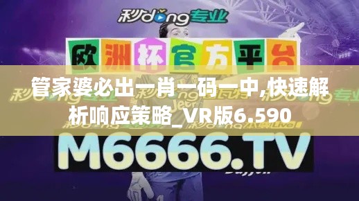 管家婆必出一肖一碼一中,快速解析響應(yīng)策略_VR版6.590