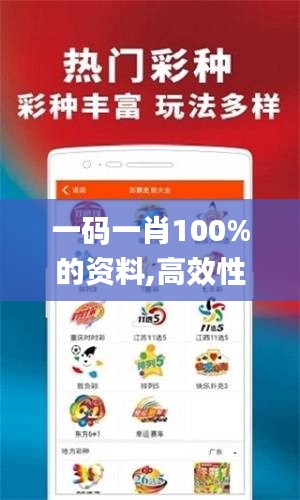 一碼一肖100%的資料,高效性計劃實施_豪華版7.903