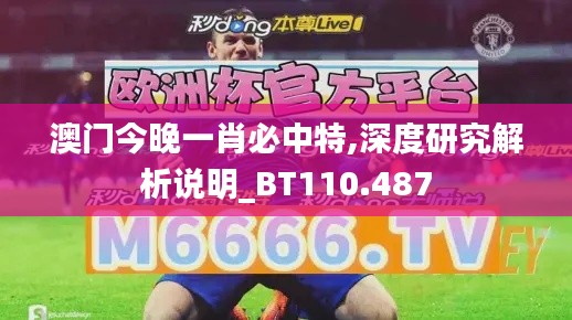澳門今晚一肖必中特,深度研究解析說明_BT110.487