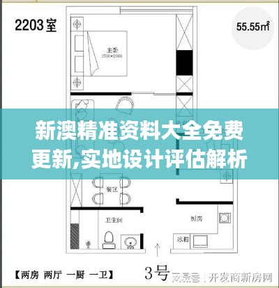 新澳精準資料大全免費更新,實地設(shè)計評估解析_工具版9.904