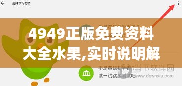 4949正版免費資料大全水果,實時說明解析_soft3.632