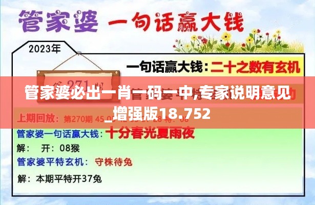 管家婆必出一肖一碼一中,專家說明意見_增強版18.752