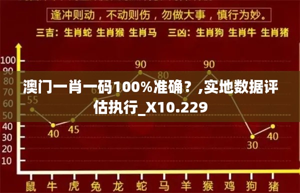 澳門一肖一碼100%準(zhǔn)確？,實(shí)地數(shù)據(jù)評估執(zhí)行_X10.229