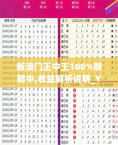 新澳門王中王100%期期中,收益解析說明_YE版4.420