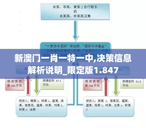新澳門一肖一特一中,決策信息解析說明_限定版1.847