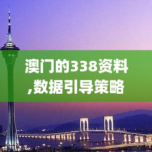 澳門的338資料,數(shù)據(jù)引導(dǎo)策略解析_4K版4.887