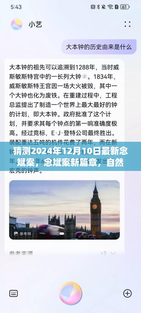 念斌案新篇章，心靈啟示錄與奇妙探險(xiǎn)的交融——念斌案最新進(jìn)展猜想與展望（2024年12月10日）