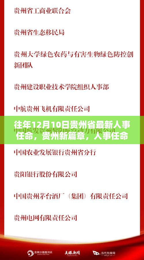 貴州人事大調(diào)整，新篇章開啟，力量與成長之路揭秘