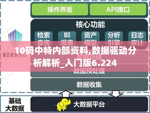 10碼中特內(nèi)部資料,數(shù)據(jù)驅(qū)動分析解析_入門版6.224