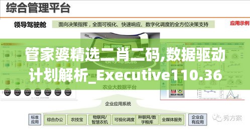 管家婆精選二肖二碼,數(shù)據(jù)驅(qū)動計劃解析_Executive110.363