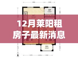 萊陽租房指南，最新房源消息與租賃要點解析（十二月版）