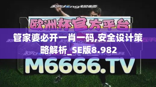 管家婆必開一肖一碼,安全設(shè)計(jì)策略解析_SE版8.982