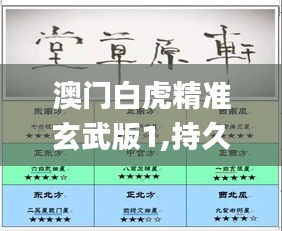 澳門白虎精準(zhǔn)玄武版1,持久性計(jì)劃實(shí)施_Windows11.333