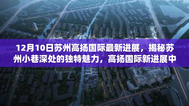 揭秘蘇州高揚國際最新進展，小巷深處的獨特魅力與隱藏瑰寶揭秘蘇州高揚國際最新進展，探尋隱藏魅力。