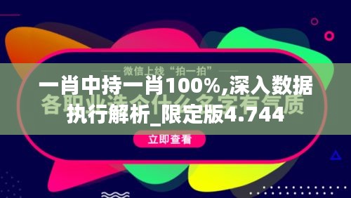 一肖中持一肖100%,深入數(shù)據(jù)執(zhí)行解析_限定版4.744