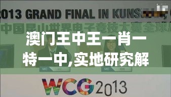 澳門王中王一肖一特一中,實地研究解釋定義_移動版1.565