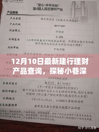 探秘寶藏！揭秘最新建行理財產(chǎn)品查詢之旅！