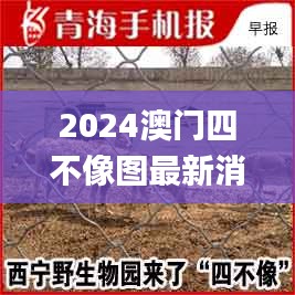 2024澳門四不像圖最新消息,權(quán)威解析說明_創(chuàng)意版6.389